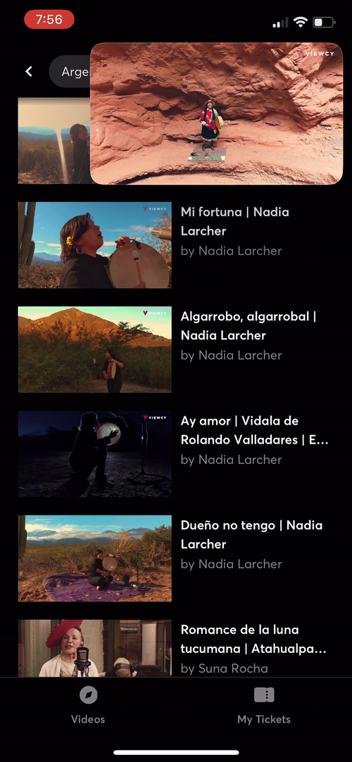 Viewcy App picture in picture mode